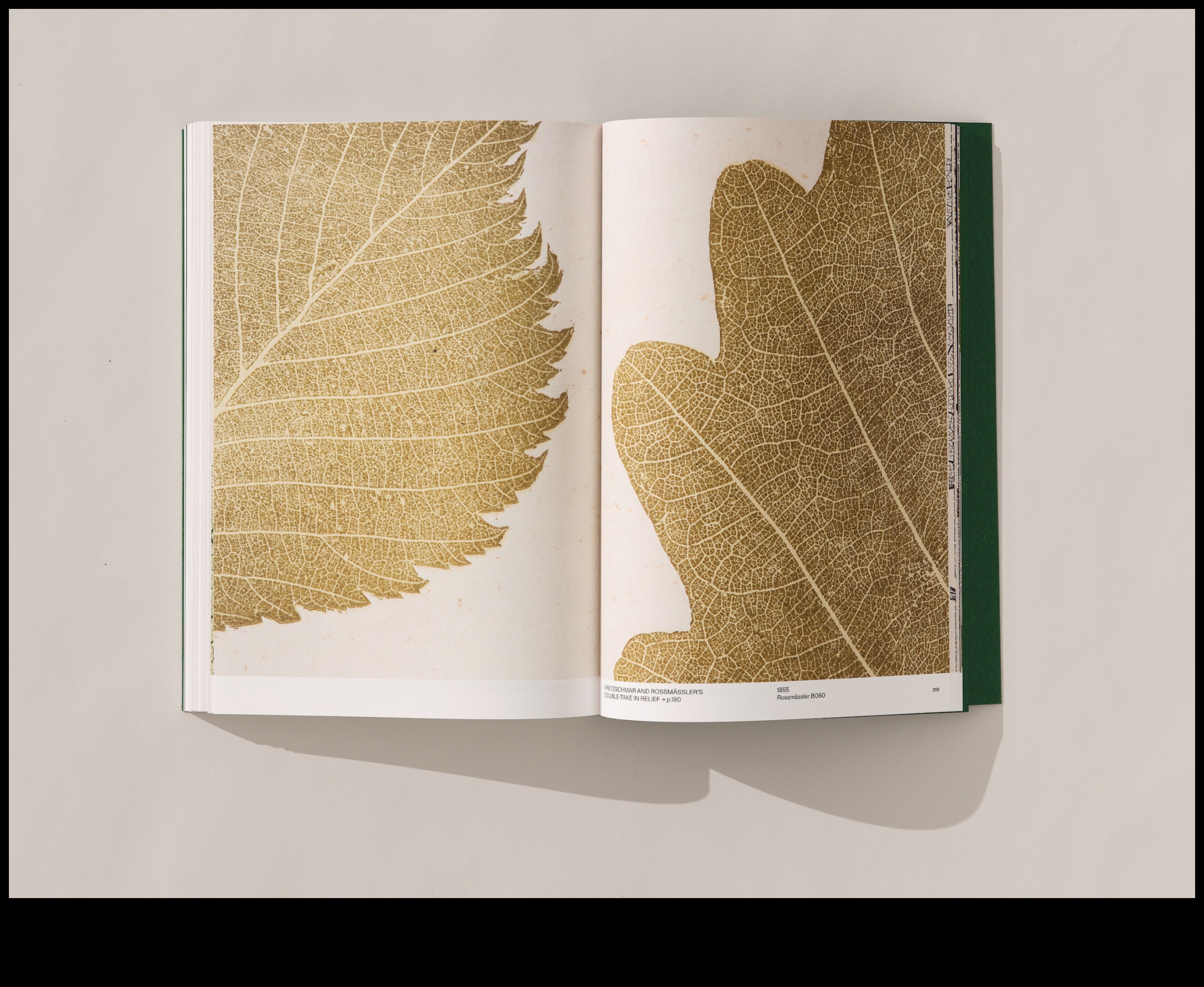 Zied bronzā: skulpturālā dārza mākslas skaistums