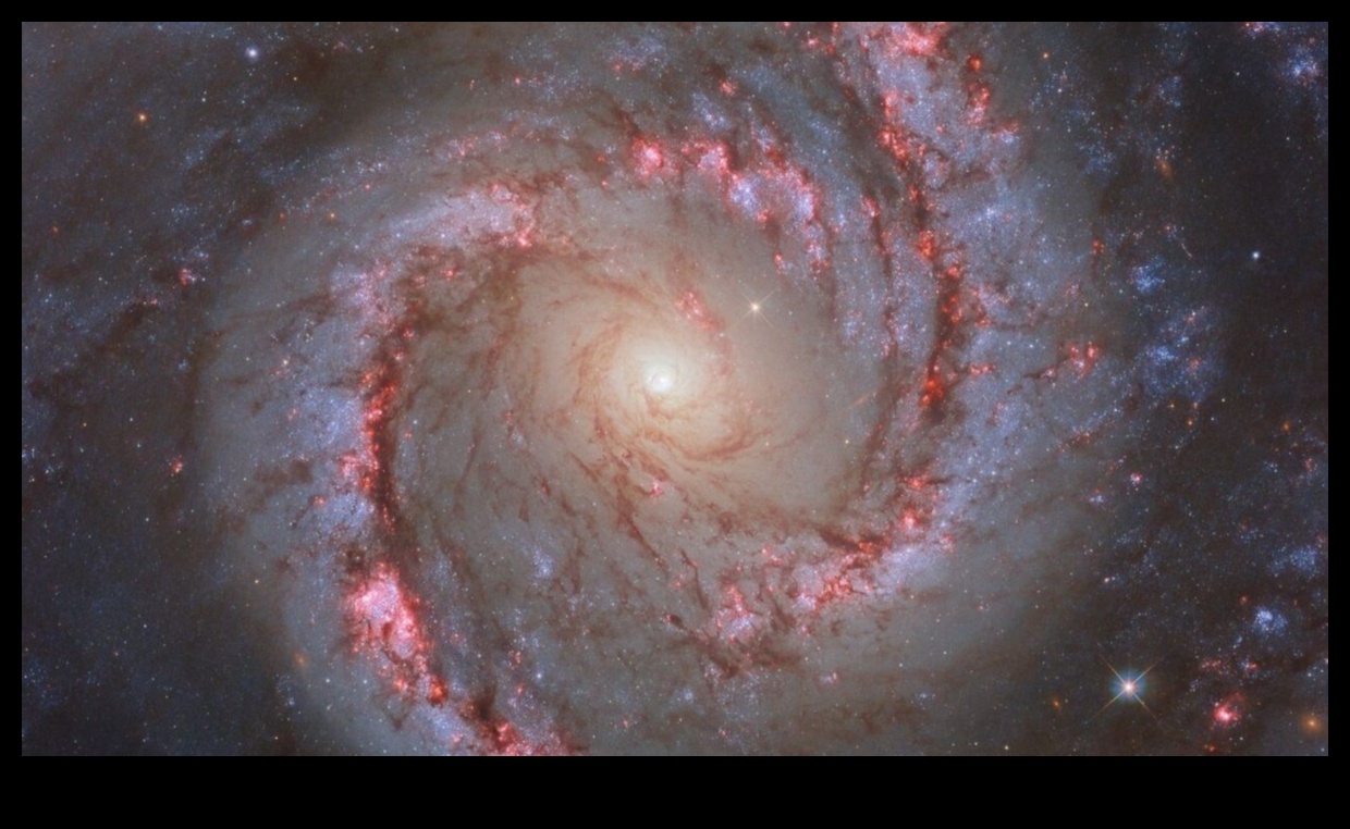 NASA debesu balets Graciozs skatiens uz kosmisko deju 2 NASA debesu balets: graciozas kustības kosmiskajā dejā