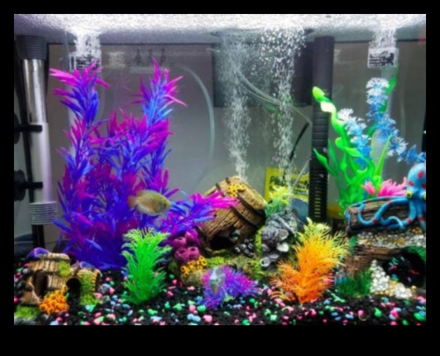 Akvārija aksesuāri Extravaganza Turpinājums: Elegances un stila pievienošana jūsu zivju tvertnei