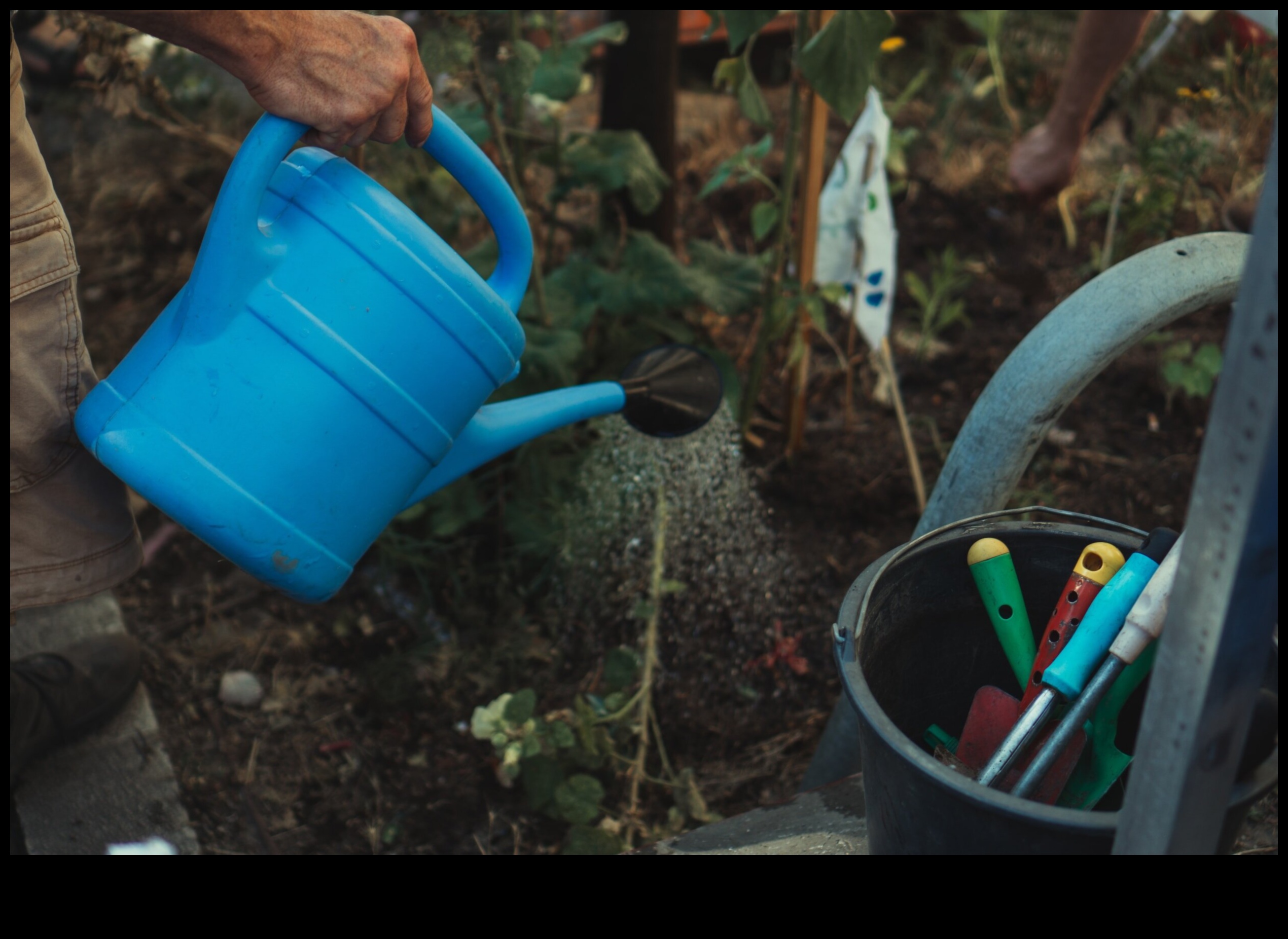 Iegūt rezultātus Uzlabojiet savas dārzkopības prasmes ar šiem obligātajiem rīkiem 4 Iegūstiet rezultātus: uzlabojiet savu dārza arsenālu jau šodien