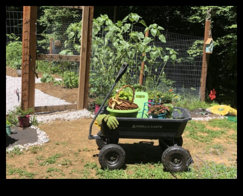 Apstādījumi bez piepūles 7 — obligāti dārza instrumenti skaistam pagalmam 4 Apstādījumi bez piepūles: atklāts obligāts dārza aprīkojums