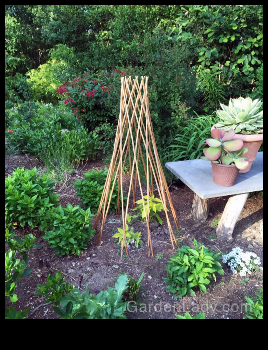 Critter Conundrum? Aizstāviet savu dārza oāzi