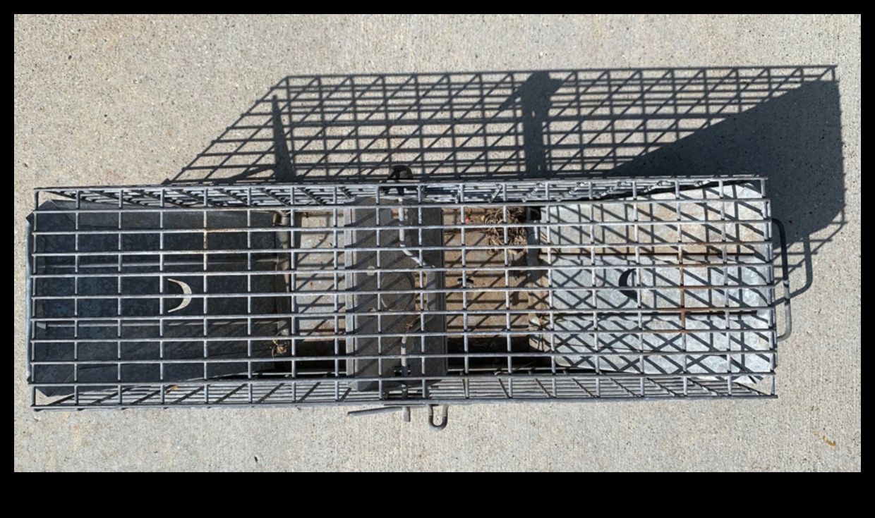 Critter Conundrum? Aizstāviet savu dārza oāzi