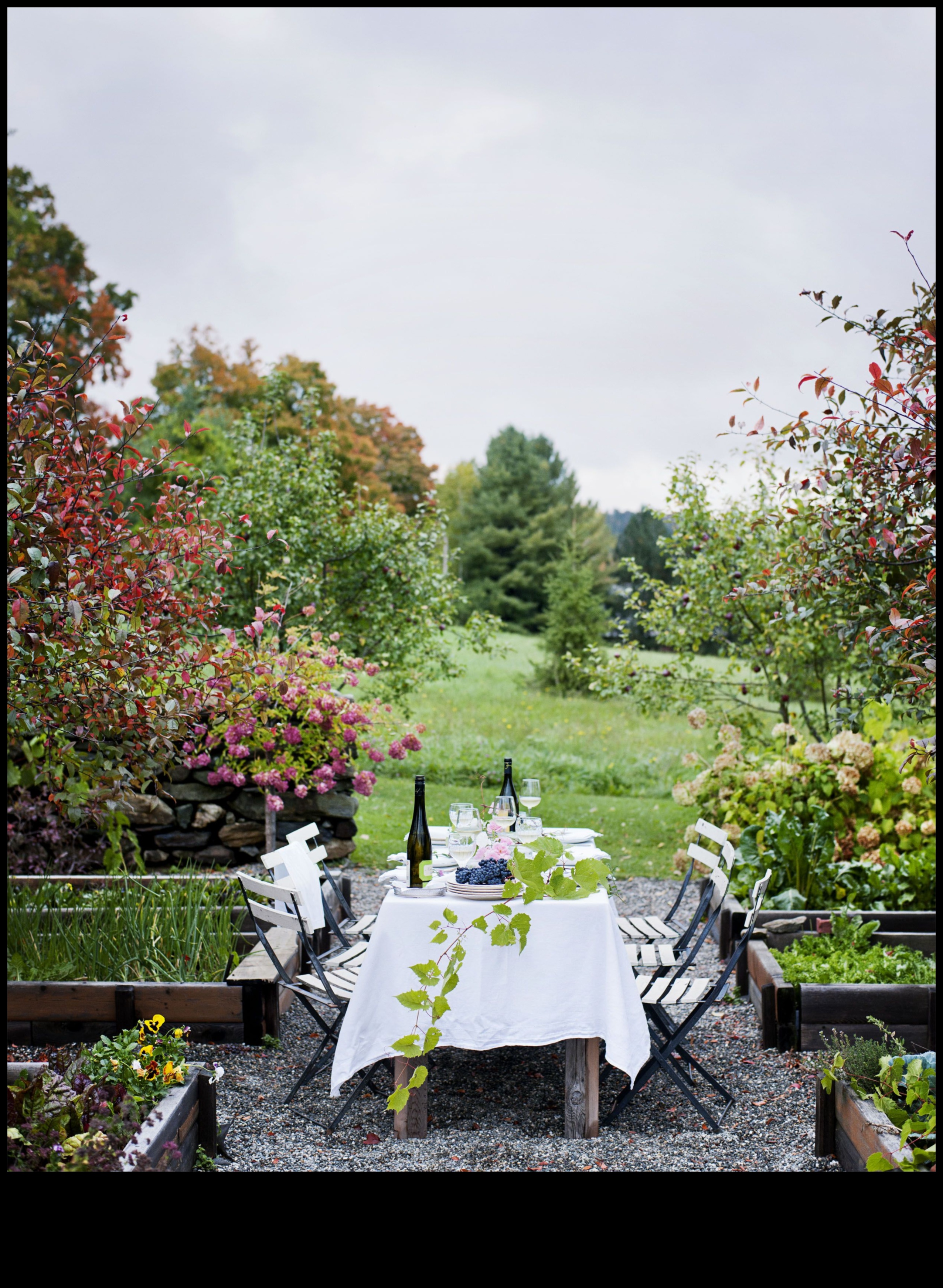 Pintes izmēra dārzi: atklāti iekštelpu dārzkopības brīnumi