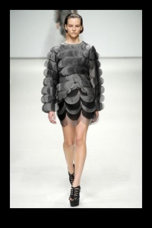 Rāpuļi uz skrejceļa Skatiet jaunākās Scaled Fashion 2 tendences Reptile Runway Rendezvous: vairāk krāšņi papildinājumi jūsu Scaley draugam