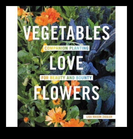 Blossom Bounty ceļvedis holistiskās dārza kopšanas mākslas apguvei 4 Blossom Bounty: Holistiskās dārza kopšanas mākslas apguve