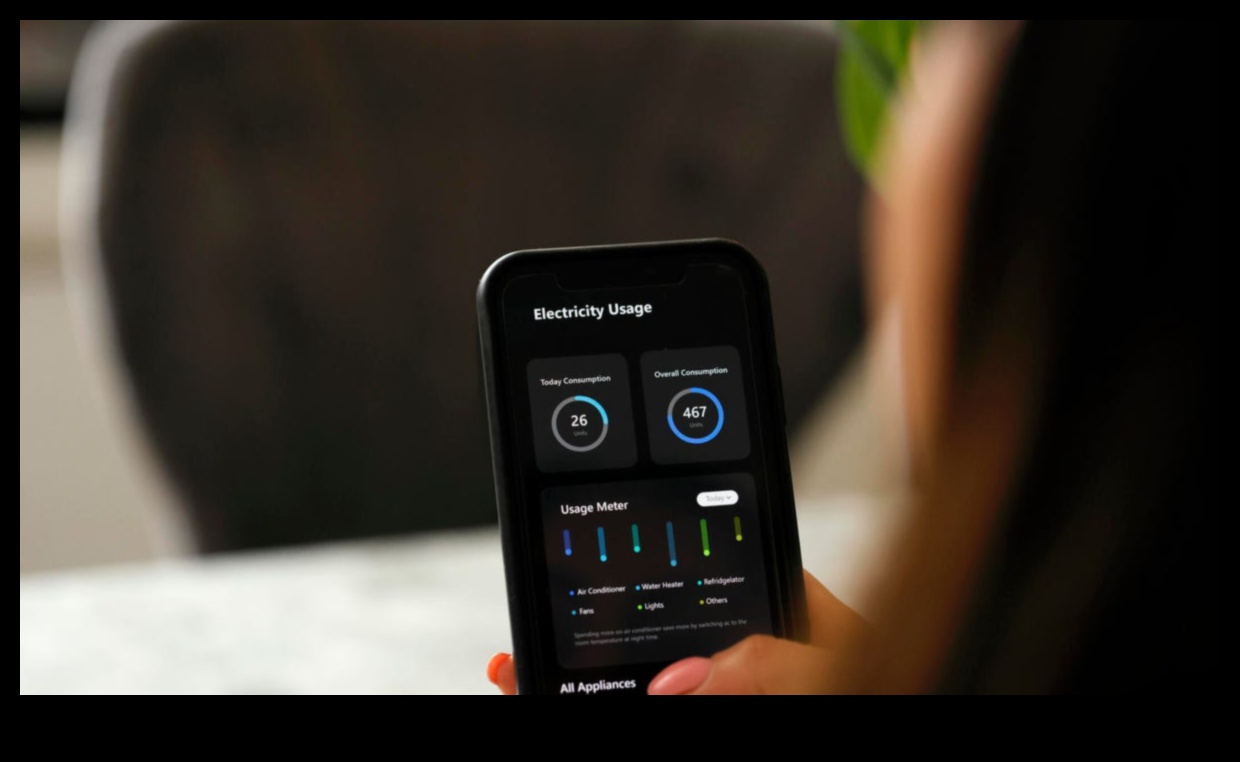 Personalizēta jauda Kā pielāgot jūsu mājas enerģijas patēriņu 3 Personalizēta jauda: elektronika jūsu mājas enerģijas patēriņa pielāgošanai