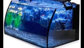 Akvārija dekorācija Ekstravagants Paaugstiniet savu zivju tvertni ceļu stilu un eleganci 6 Akvārija aksesuāri Extravaganza Turpinājums: Elegances un stila pievienošana jūsu zivju tvertnei