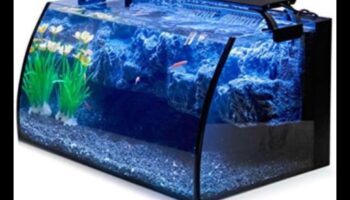 Akvārija aksesuāri Extravaganza Turpinājums: Elegances un stila pievienošana jūsu zivju tvertnei