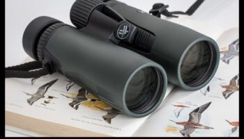 Binokļa pamatinformācija: pareizās optikas izvēle putnu vērošanai
