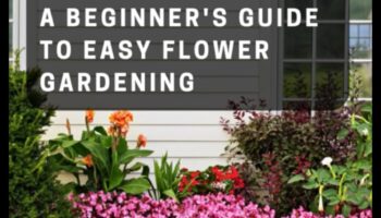 Blossom Bounty: Holistiskās dārza kopšanas mākslas apguve