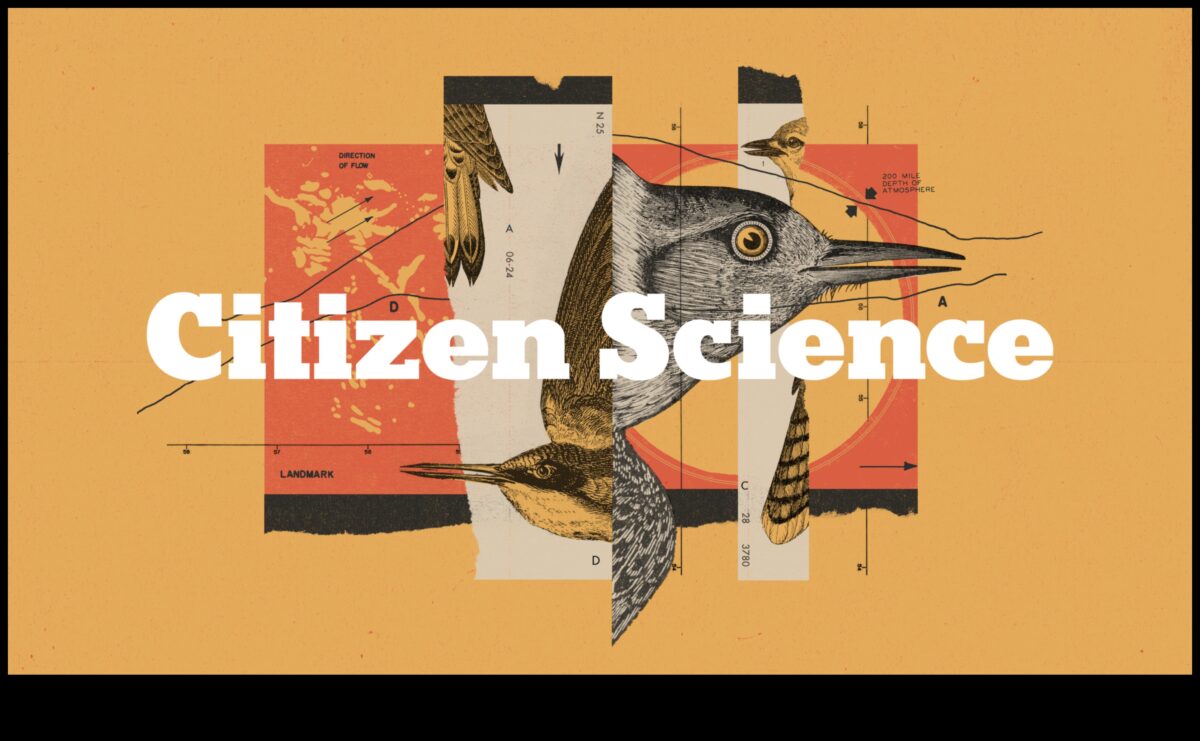 Chirp Chronicles: putnu uzvedība gadalaikos