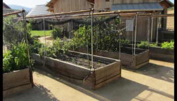 Critter Conundrum? Aizstāviet savu dārza oāzi