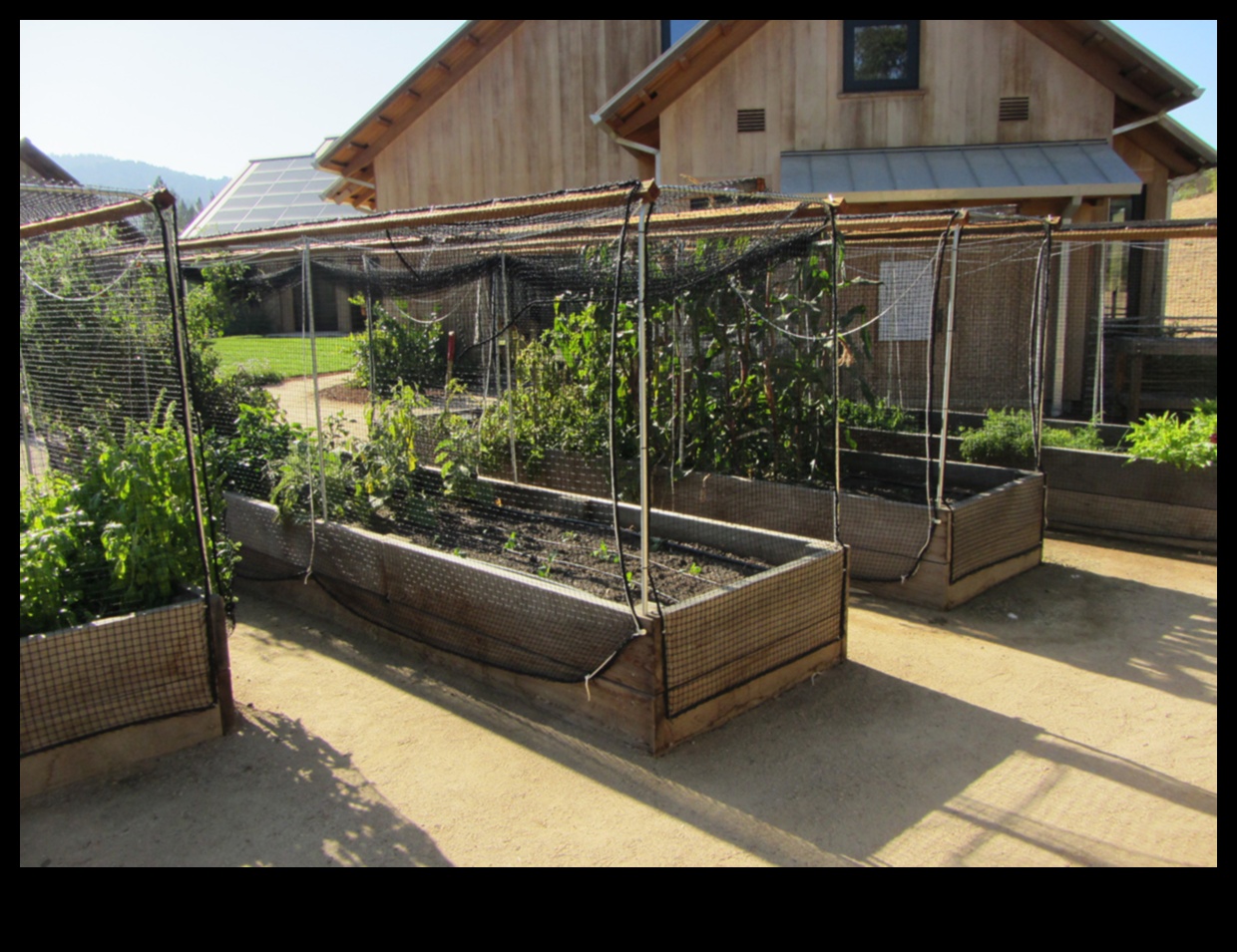 Critter Conundrum? Aizstāviet savu dārza oāzi