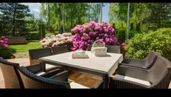 Eleganta oāze: dārza dizaina pārvērtības gaida