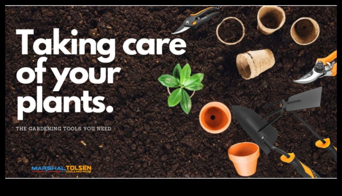 Iegūstiet rezultātus: uzlabojiet savu dārza arsenālu jau šodien