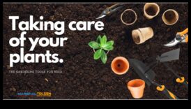 Iegūstiet rezultātus: uzlabojiet savu dārza arsenālu jau šodien