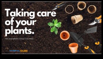 Iegūstiet rezultātus: uzlabojiet savu dārza arsenālu jau šodien