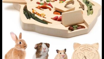 Kāmja spēles turpinājums: Interaktīvas rotaļlietas garīgai stimulēšanai