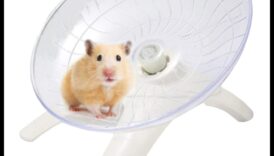 Kāmju ritenīša vērpšanas jautrība aktīviem kāmjiem 1 Kāmja rata viesulis: vērpšanas prieks aktīviem kāmjiem