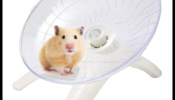 Kāmja rata viesulis: vērpšanas prieks aktīviem kāmjiem