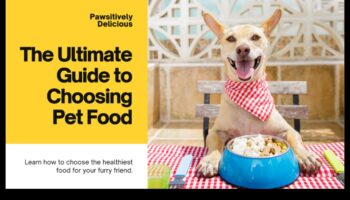 Pielāgotas gaumes: izvēlieties piemērotu barību jūsu mājdzīvnieka vajadzībām