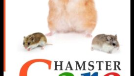 The Hamster Chronicles Intensīvs informācija kāmju kopšanai 5 Kāmju hronikas: padziļināts ceļvedis kāmju kopšanai